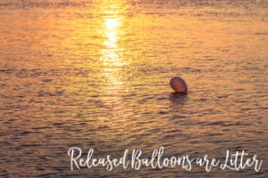 Released Balloons Are Litter Jacksonville Beach Florida