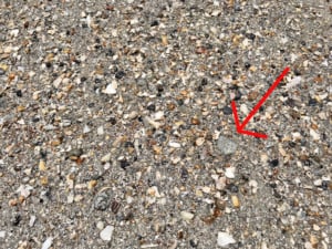 Tips for Finding Sea Glass at the Beach in Florida