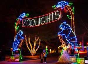 Jacksonville Zoo Lights Christmas Lights