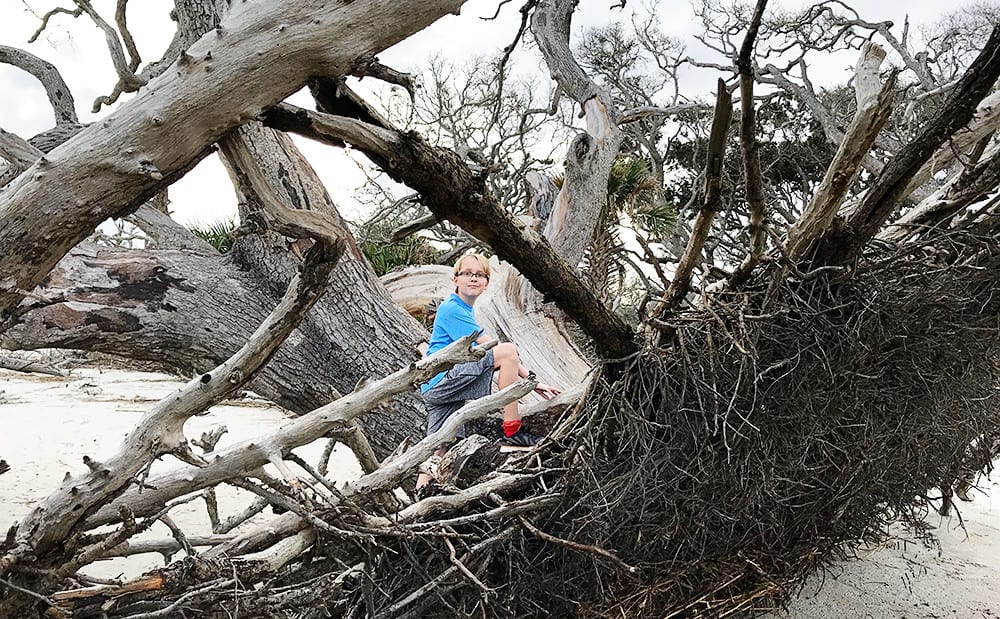 Driftwood Beach in Jekyll Island, Georgia - Road trips from Jacksonville, Florida with kids.