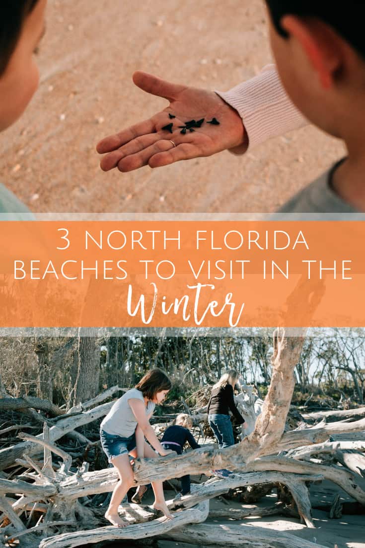 3 North Florida Beaches to Visit this Winter