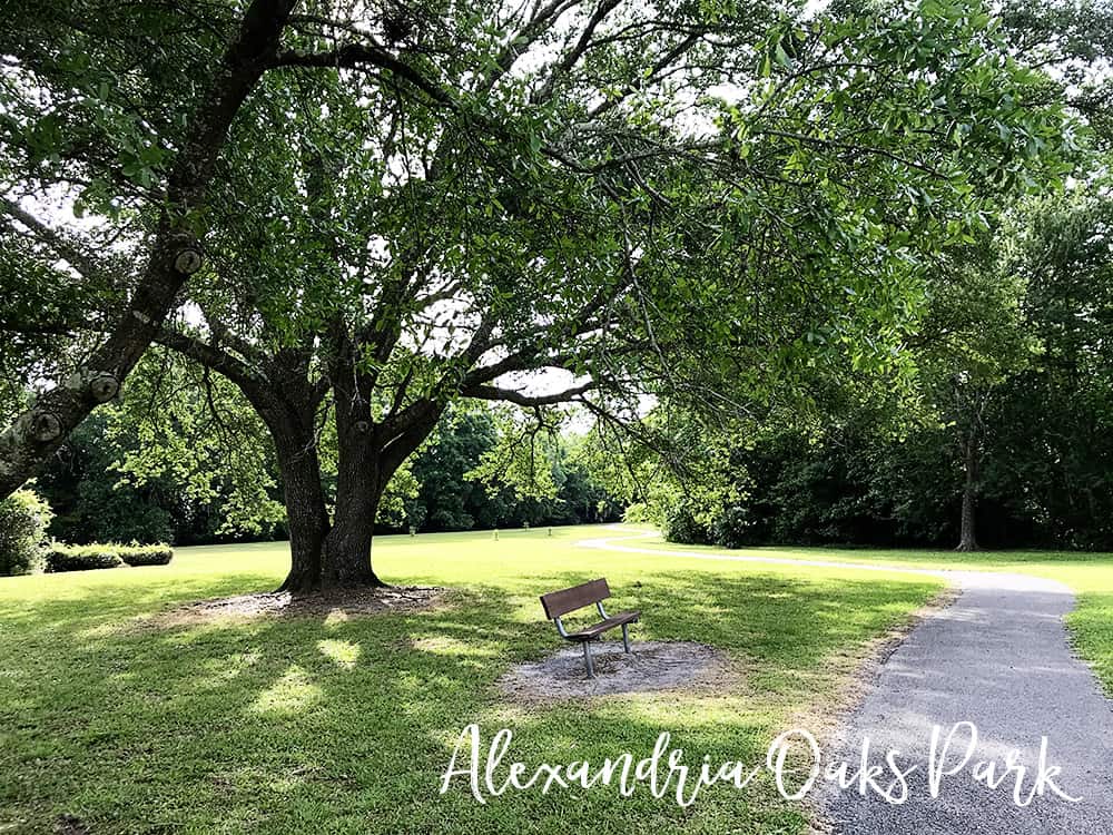 Alexandria Oaks Park in San Marco, Jacksonville, Florida