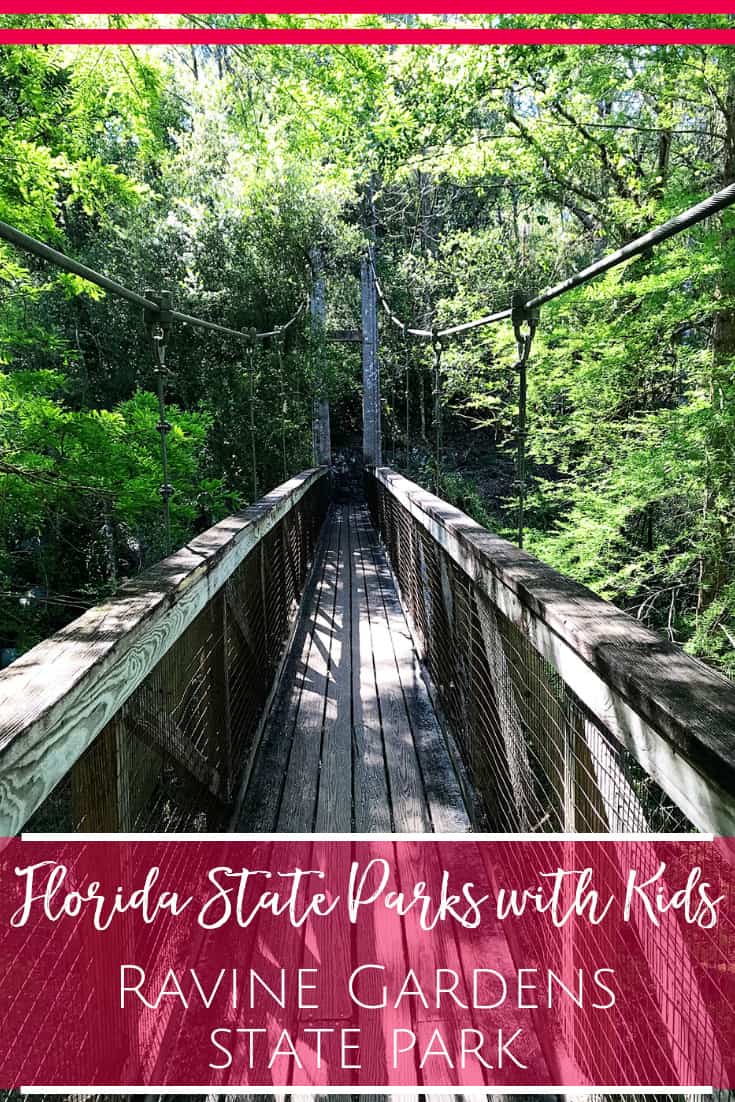 Ravine Gardens State Park in Florida - Road Trip from Jacksonville