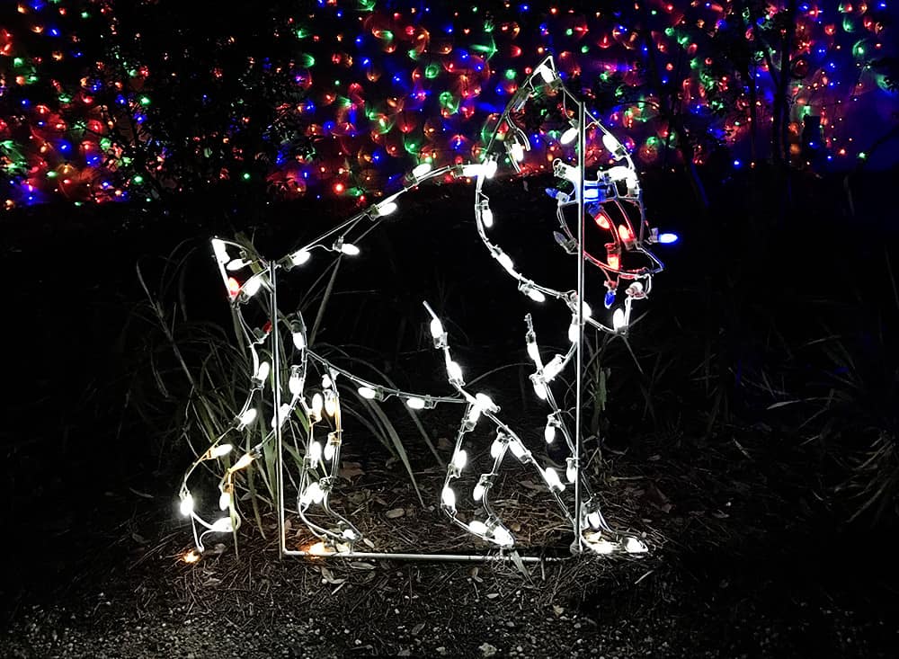ZooLights at the Jacksonville Zoo & Gardens