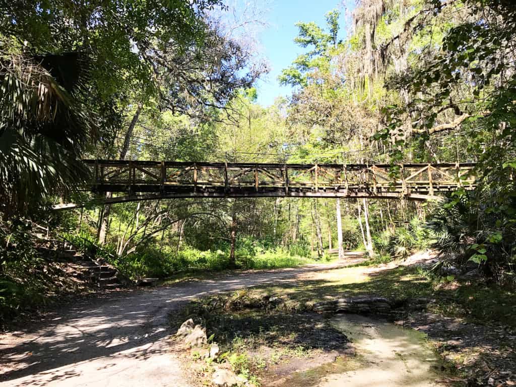 Ravine Gardens State Park in Florida - Suspension Bridges