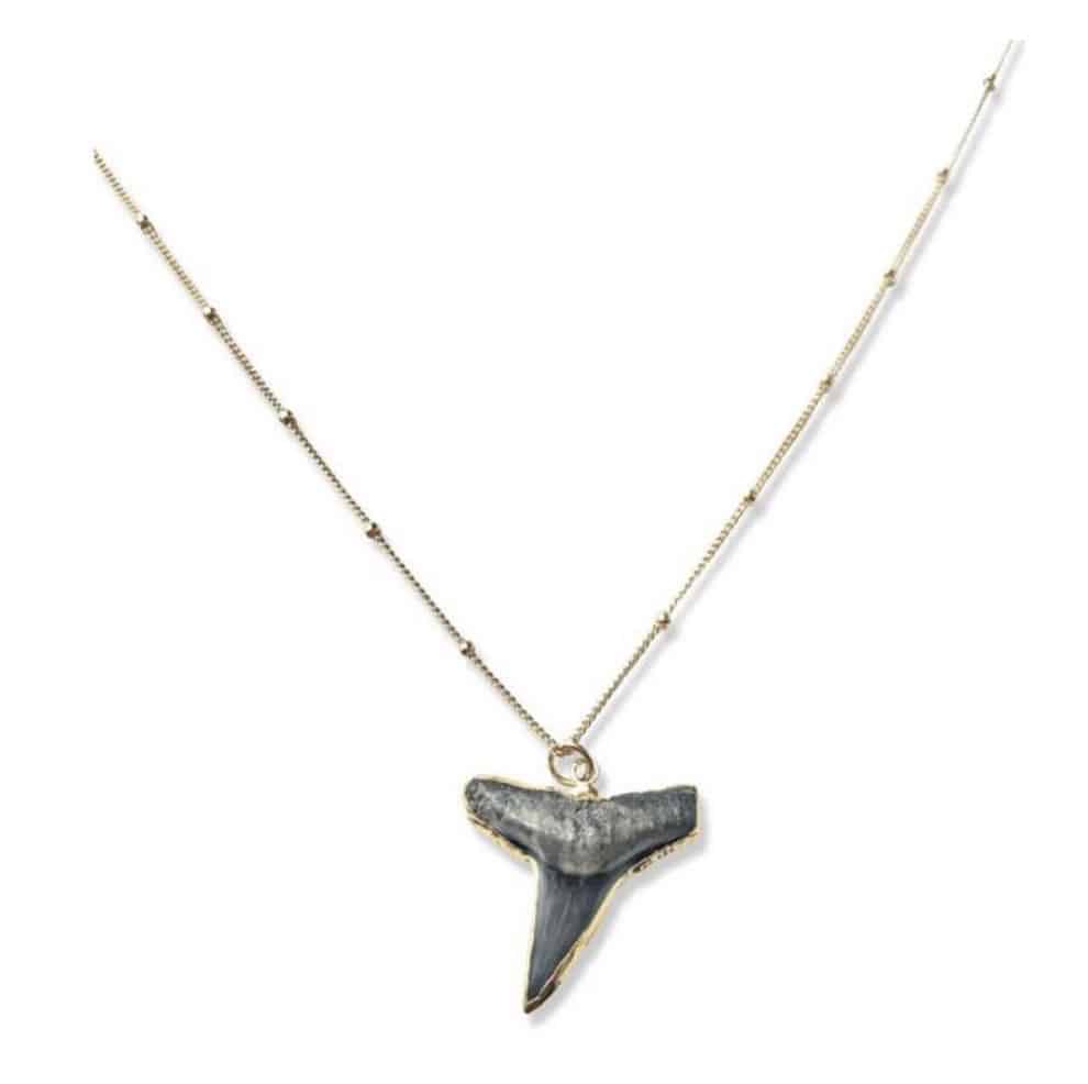 Shark Week gifts for people who love sharks! Shark Tooth Necklace