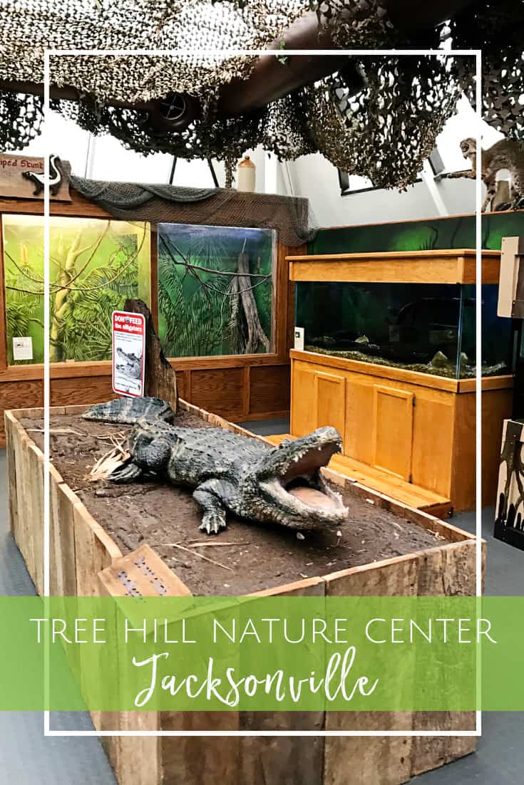 Tree Hill Nature Center in Jacksonville, Florida