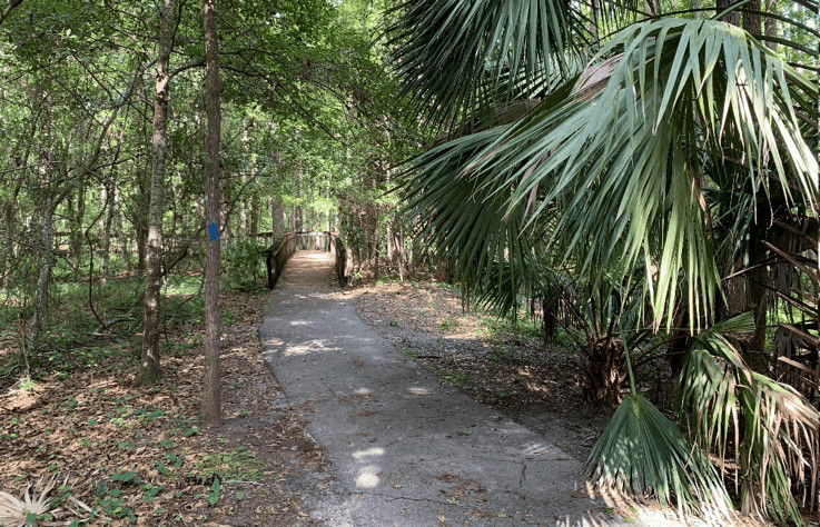 Hiking Trails in Jacksonville, Florida