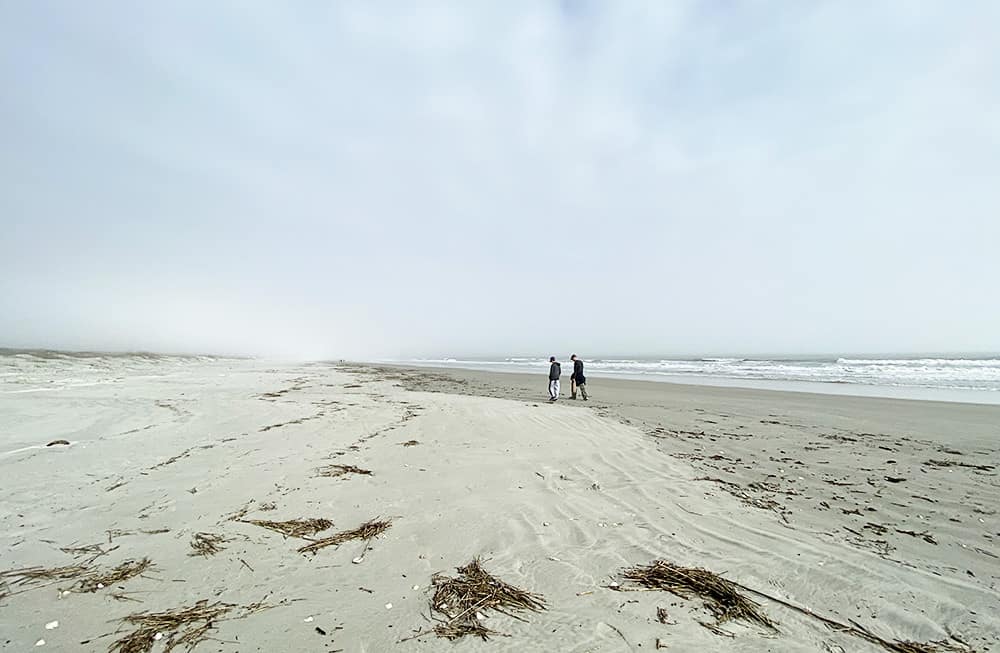 Cumberland Island National Seashore in Georgia is the perfect day trip with the kids!