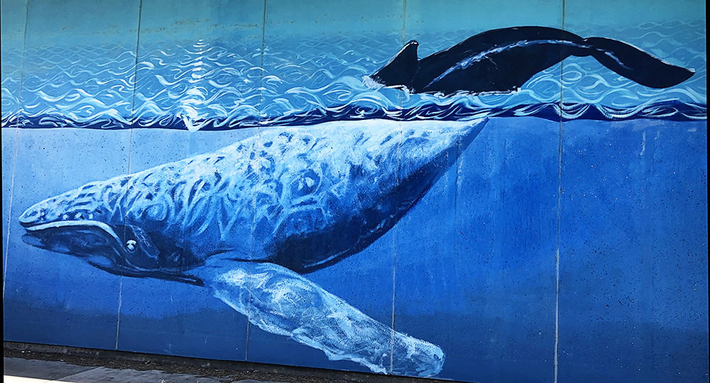 Jacksonville Beach Whale Mural