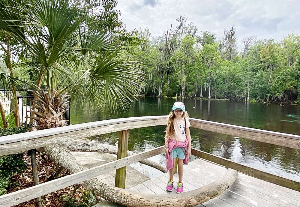 Silver Springs State Park in Ocala, Florida. A perfect spot to take a glass bottom boat ride through the springs.