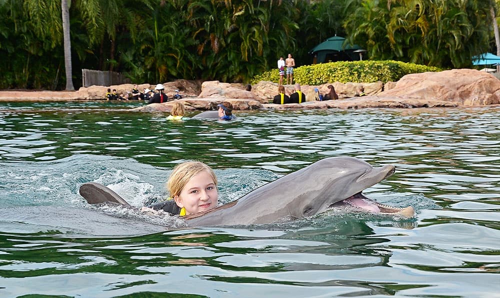 Discovery Cove in Orlando is a great day trip from Jacksonville. You can snorkel and swim with dolphins!