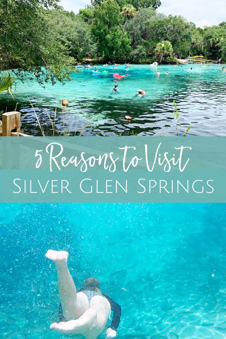 5 reasons you should visit Silver Glen Springs Recreational Area in Ocala, Florida 