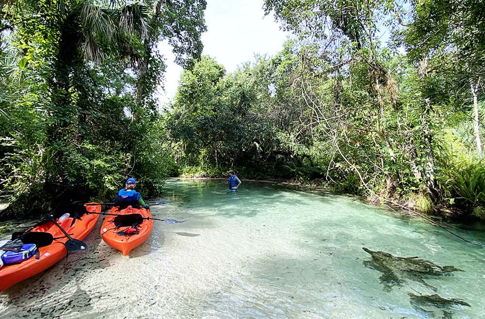 King's Landing - for kayaking or paddle boarding Rock Springs/Kelly Park in Apopka, Florida.