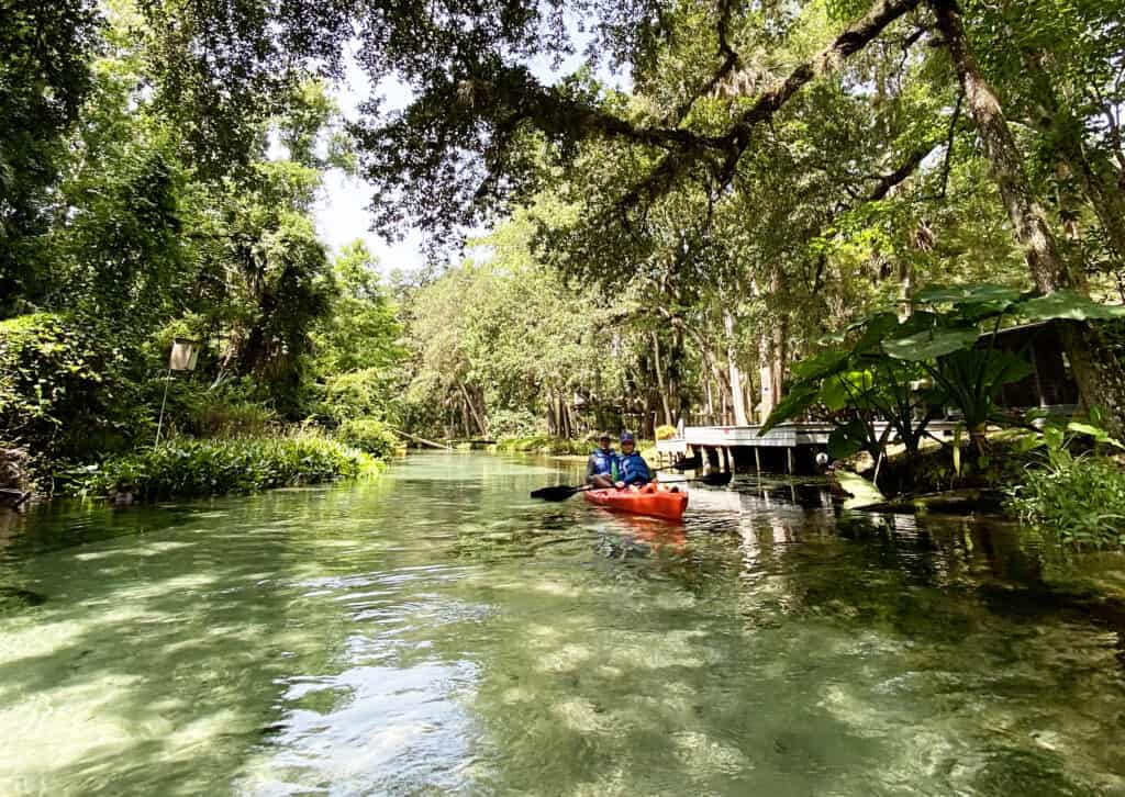 Kayak or Paddle Board at Rock Springs/Kelly Park in Apopka, Florida.