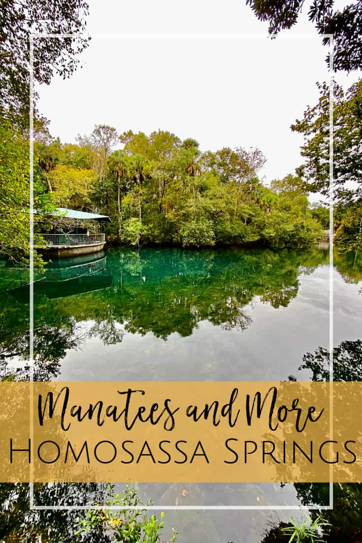 Homosassa Springs State Park - the perfect day trip with kids!