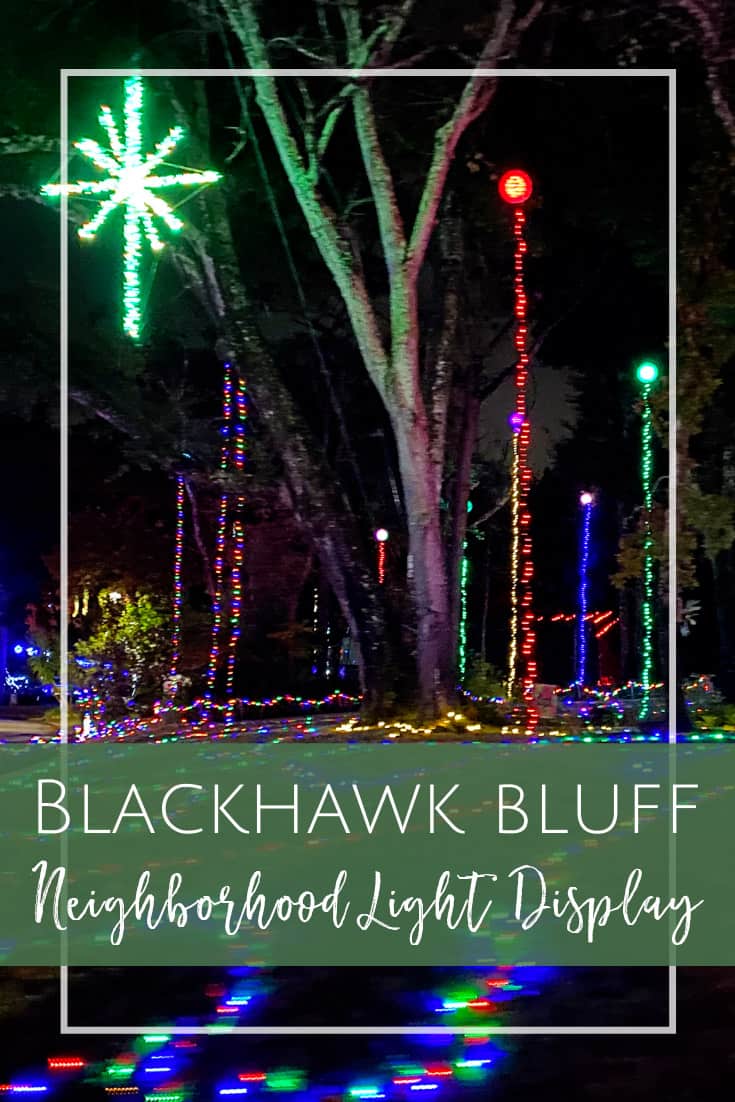 Blackhawk Bluff Light Display in Jacksonville, Florida