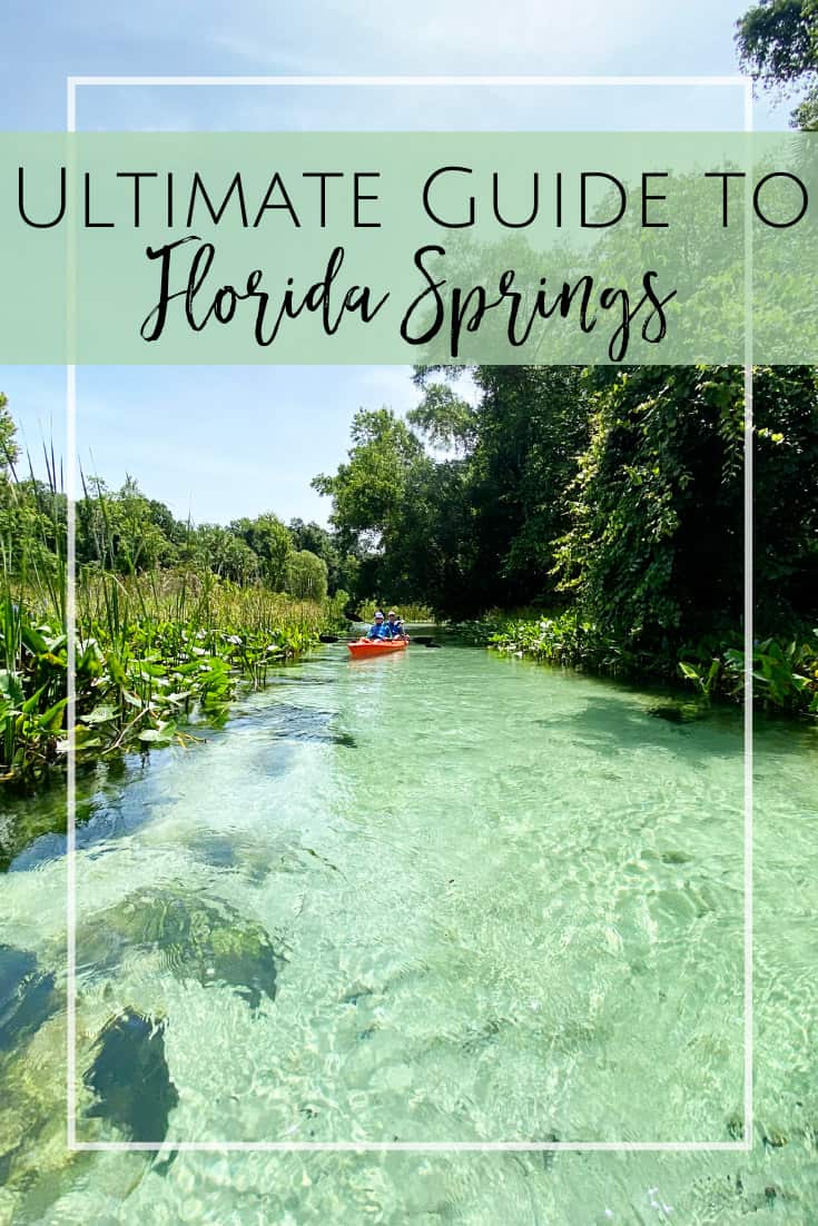 The Ultimate Family Guide to Florida Springs Day Trips