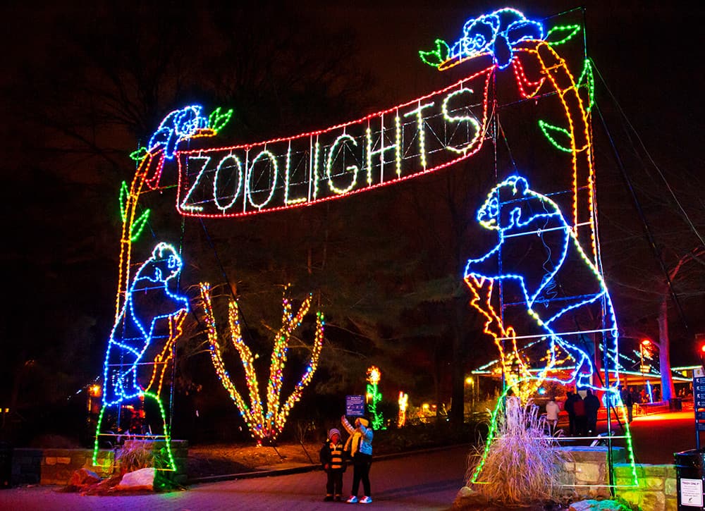ZooLights at the Jacksonville Zoo and Gardens 