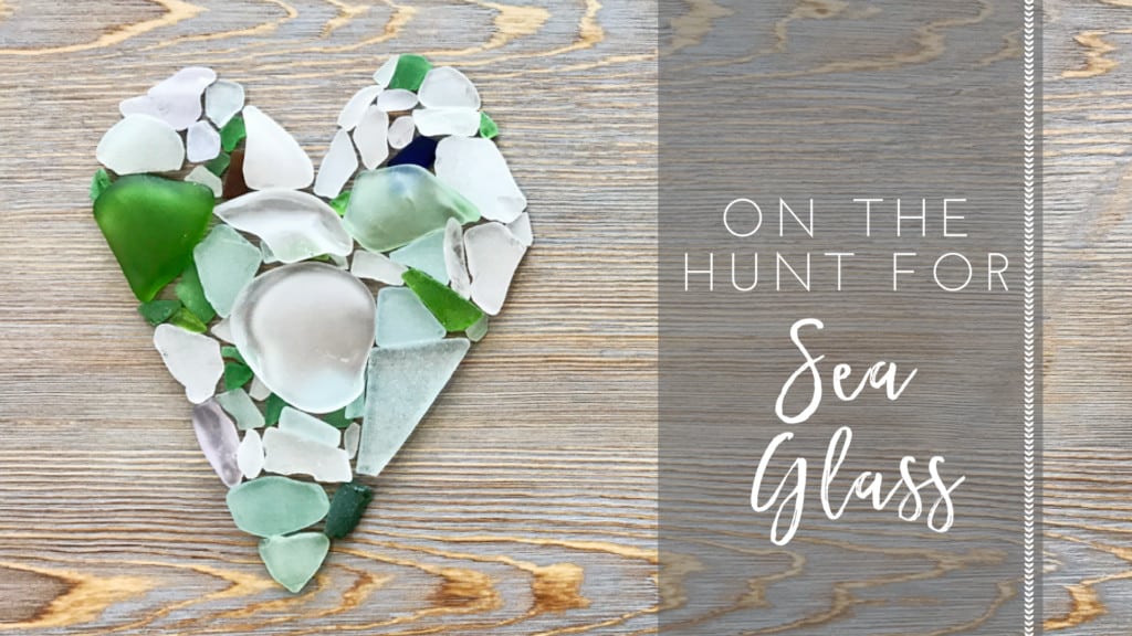 On the Hunt for Sea Glass in Jacksonville, Florida.