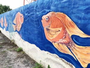The Fish Wall Photo Jacksonville Beach, Florida