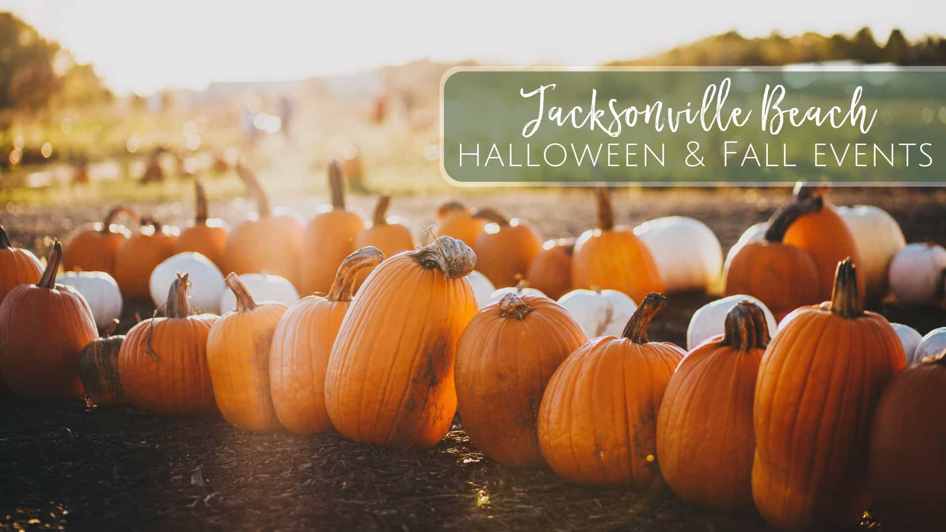 2021 Fall Halloween Events In Jacksonville Beach Jacksonville Beach Moms 2021 Fall Halloween Events In Jacksonville Beach Jacksonville Beach Moms