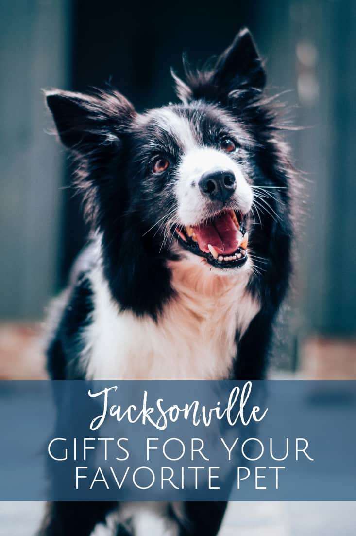 Jacksonville Gift Guide for Pets