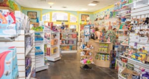 Villa Villekula Toy Store in Fernandina, Jacksonville Florida with kids!