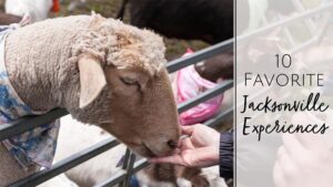 Jacksonville Experience Gift Ideas - Jacksonville Beach Moms