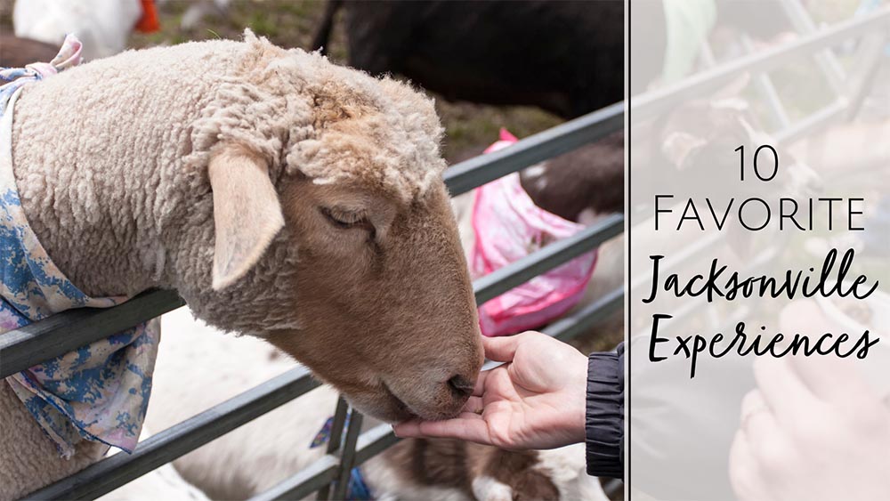 Experience Gift Ideas in Jacksonville Florida