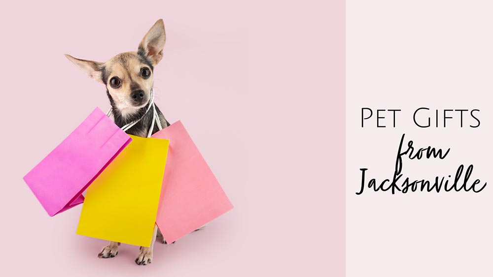 Gifts for your pets from Jacksonville, Florida