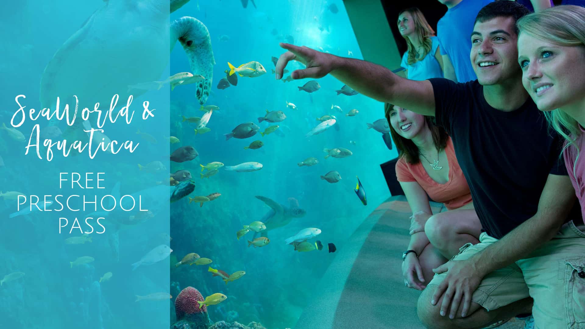 SeaWorld and Aquatica in Orlando, Florida offer free passes for preschoolers in 2019