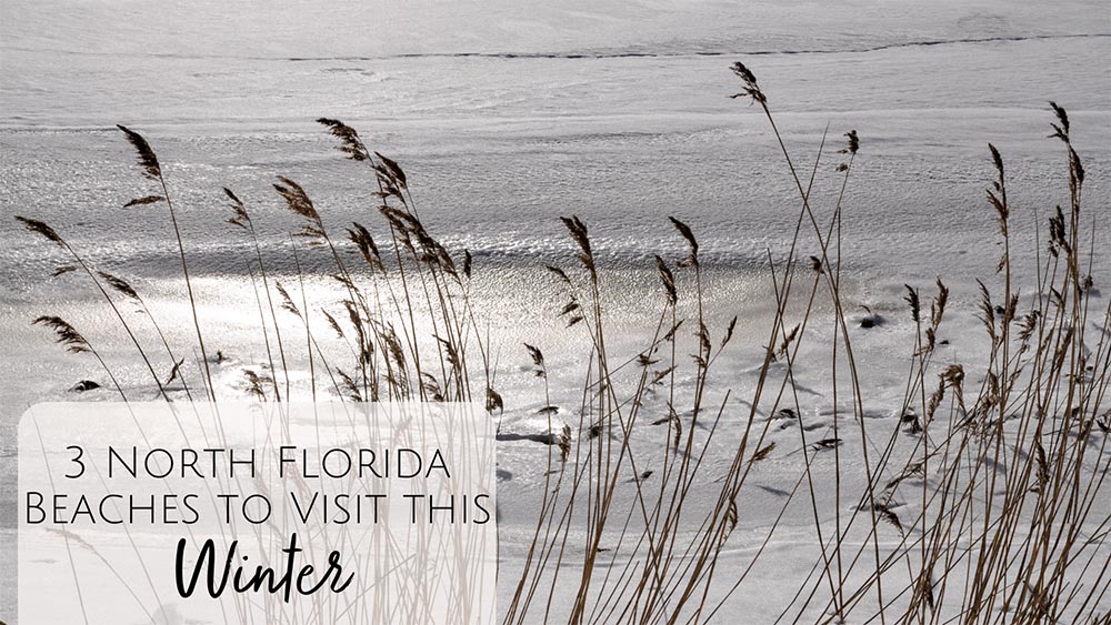 The best beaches to visit in Jacksonville in the Winter months!