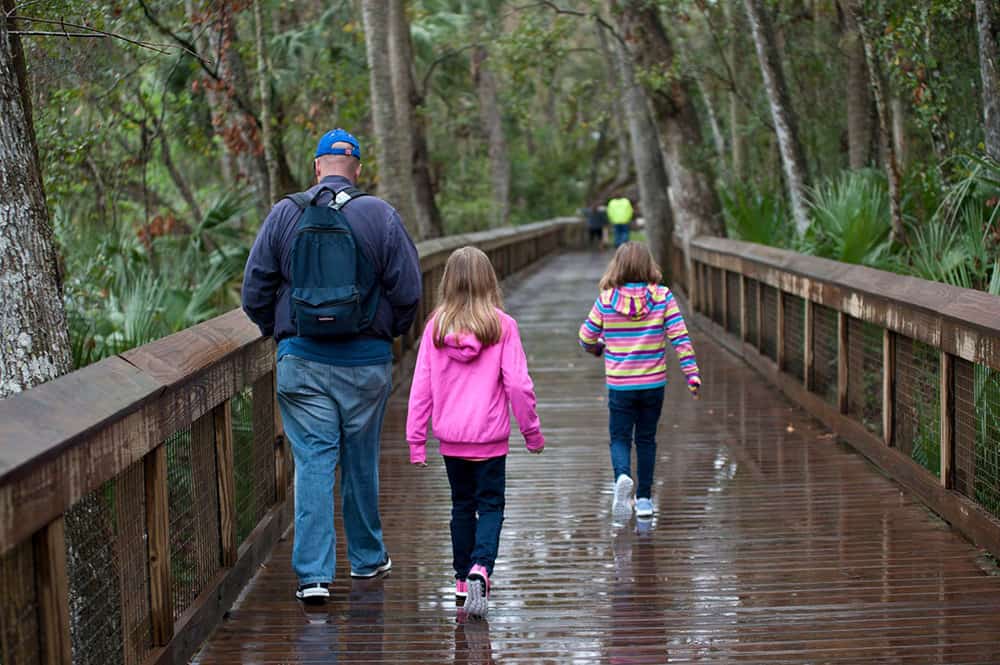 Blue Springs State Park in Florida - Day trip from Jacksonville to see manatees!