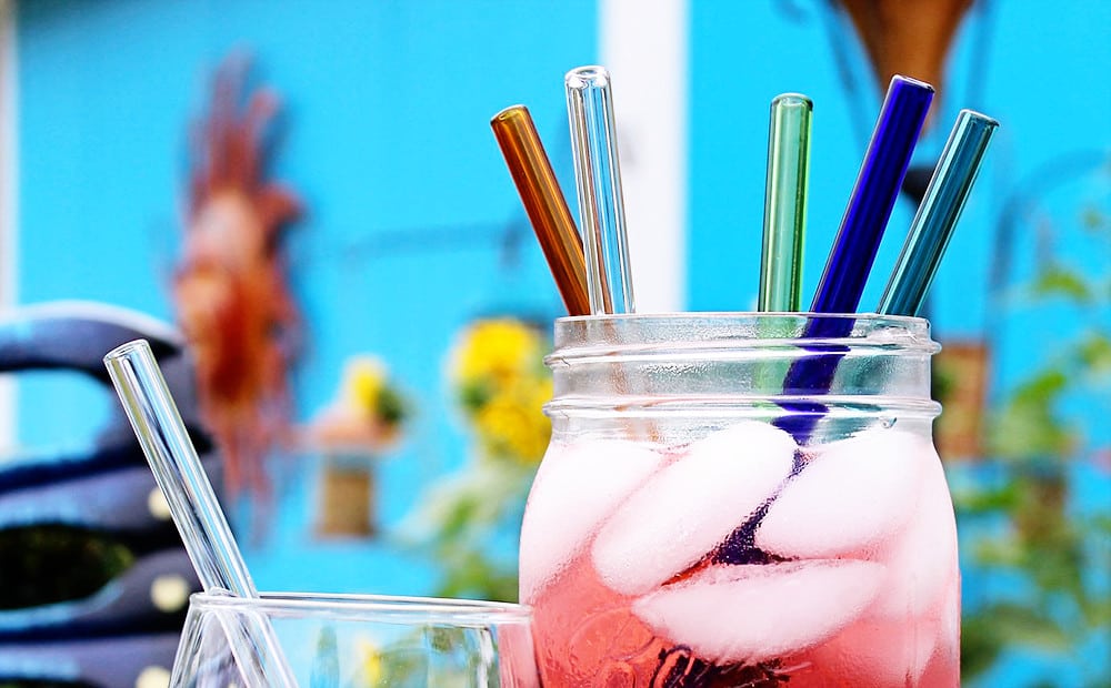Eco-Friendly Green Gift Ideas from Jacksonville, Florida. Ridley Glass Straws.