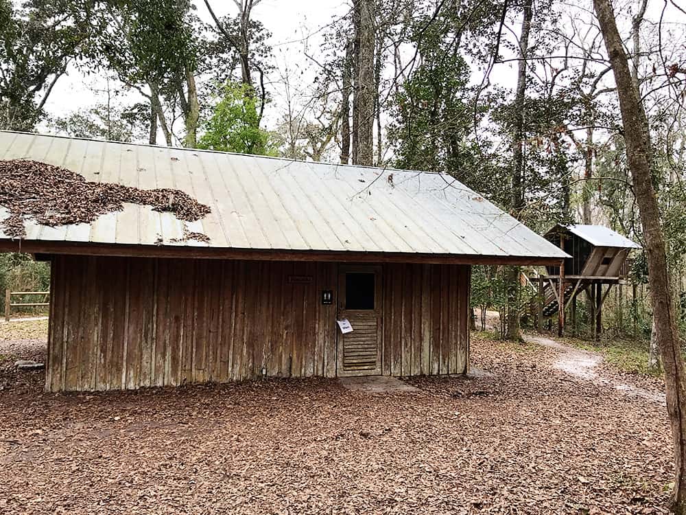 Camp Chowenwaw Treehouse Camping in Jacksonville, Florida.