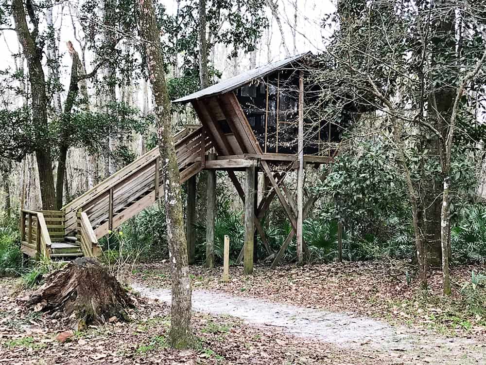 Camp Chowenwaw Treehouse Camping in Jacksonville, Florida.