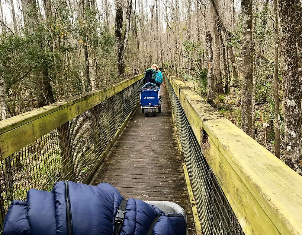 Camp Chowenwaw Treehouse Camping in Jacksonville, Florida.