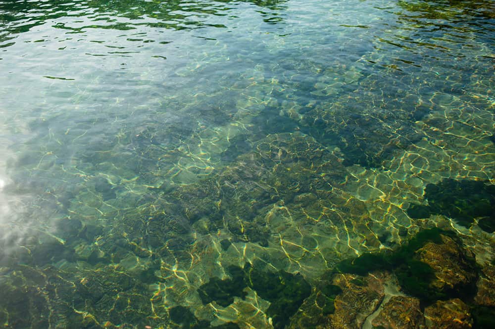 De Leon Springs State Park in Florida. Make your own pancakes and swim in the springs!