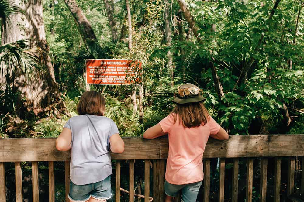 De Leon Springs State Park in Florida. Make your own pancakes and swim in the springs!