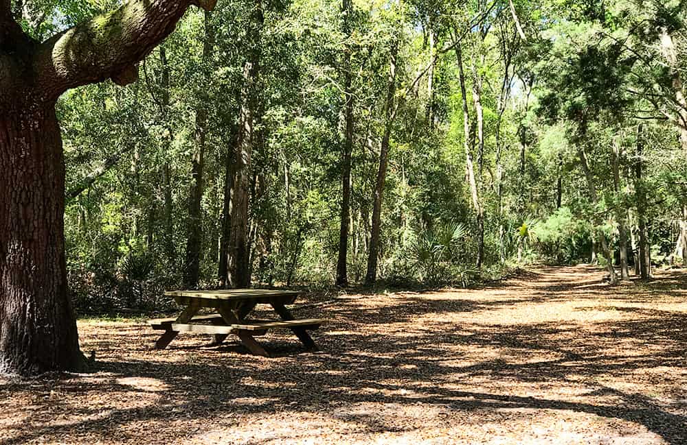 Jacksonville Arboretum & Gardens - Hiking with Kids in Jax