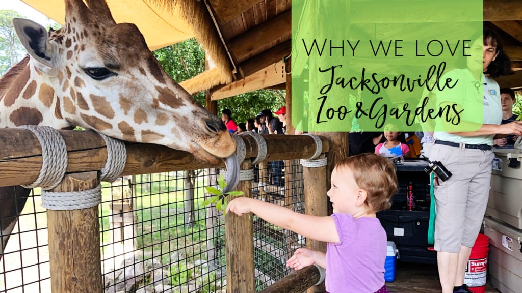 Jacksonville Zoo and Gardens with Kids - Visiting Jacksonville Florida with Families