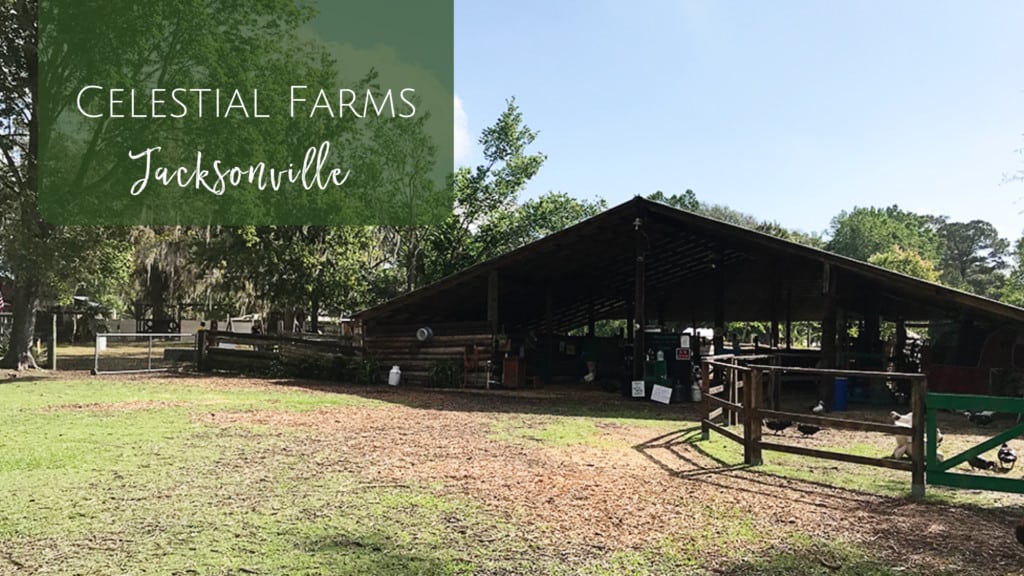 Celestial Farms in Jacksonville, Florida