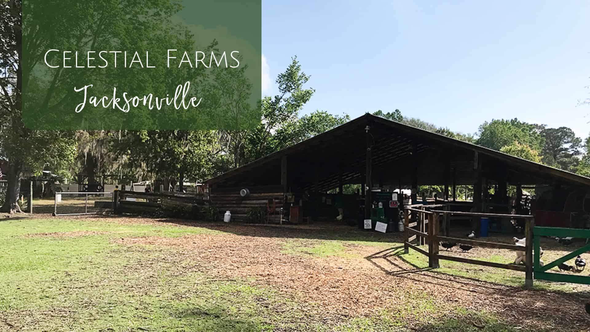 Celestial Farms in Jacksonville, Florida