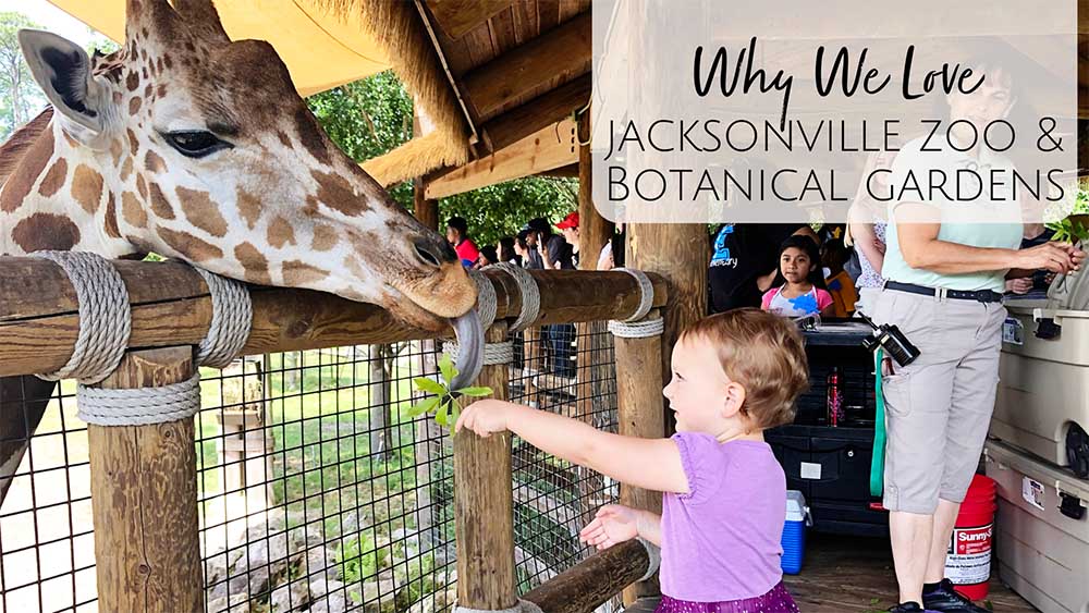 Jacksonville Zoo and Gardens with Kids - Visiting Jacksonville Florida with Families