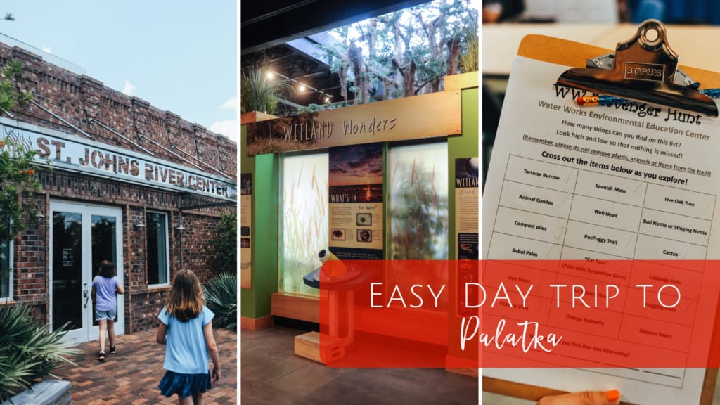 Palatka Florida Day trip from Jacksonville - Perfect for kids of all ages!