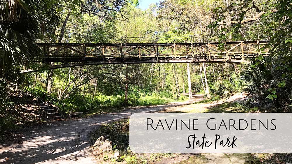 Ravine Gardens State Park - Road Trips from Jacksonville, Florida