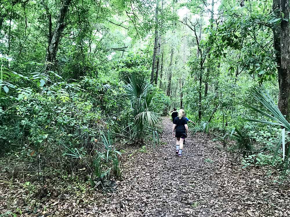 Tree Hill Nature Center in Jacksonville, Florida