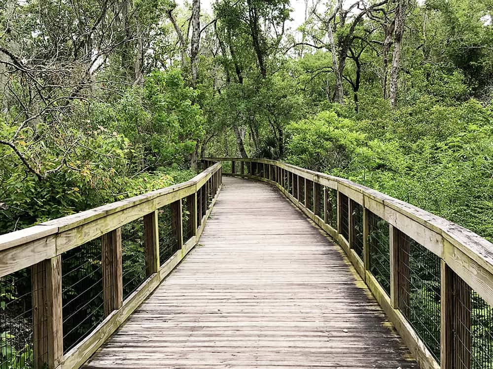 Tree Hill Nature Center in Jacksonville, Florida