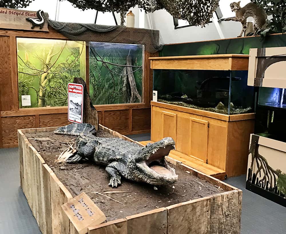 Tree Hill Nature Center in Jacksonville, Florida